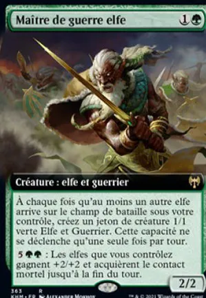 Maître de guerre elfe