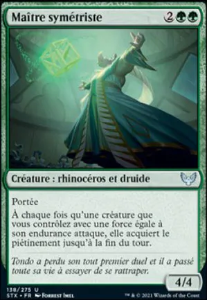Maître symétriste
