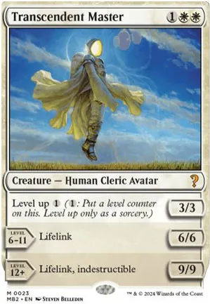 Maître transcendant
