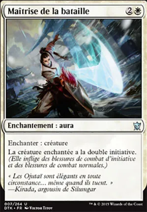 Maîtrise de la bataille