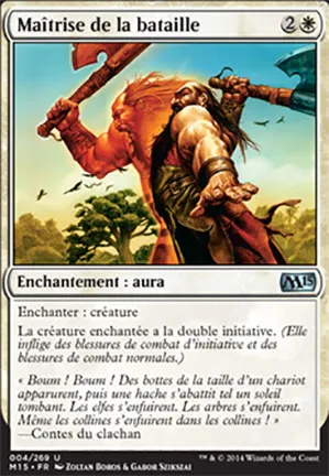 Maîtrise de la bataille