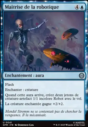 Maîtrise de la robotique