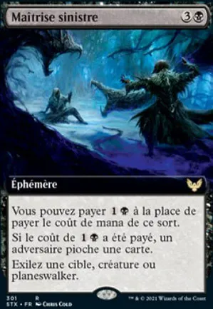 Maîtrise sinistre