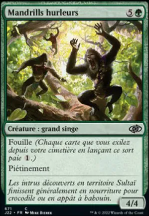 Mandrills hurleurs