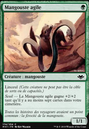 Mangouste agile