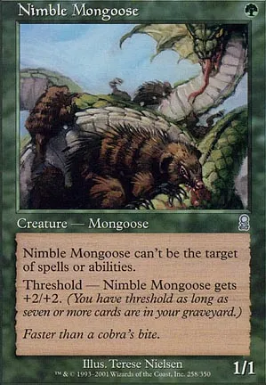 Mangouste agile