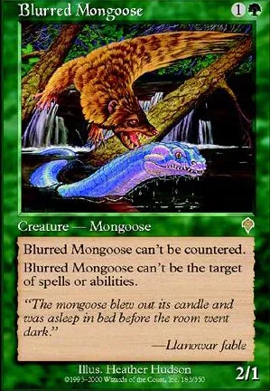 Mangouste floue