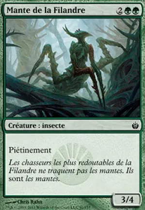 Mante de la Filandre