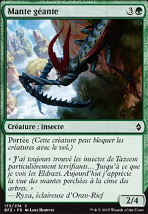 Mante géante