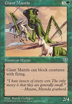 Mante géante