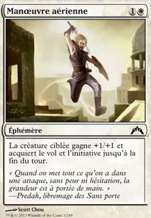 Manœuvre aérienne