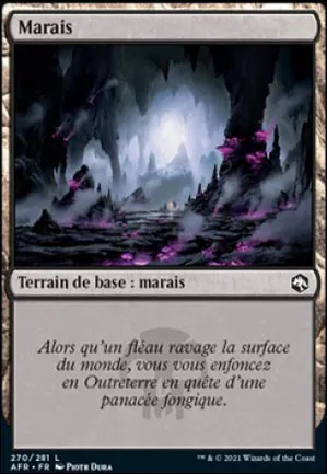 Marais