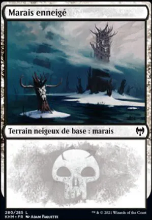 Marais enneigé