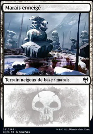 Marais enneigé
