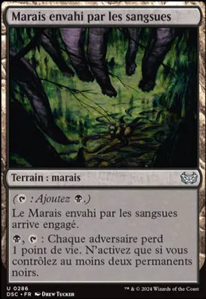 Marais envahi par les sangsues