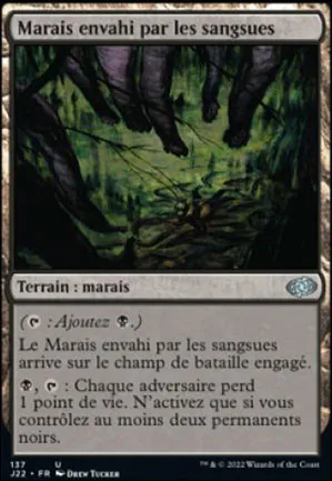 Marais envahi par les sangsues