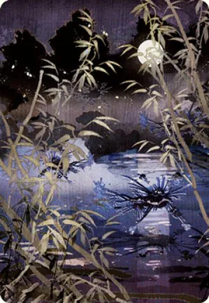 Marais - Illustration