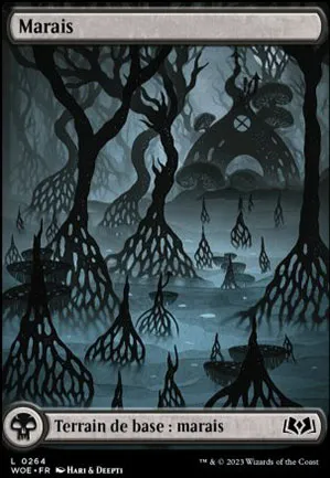 Marais