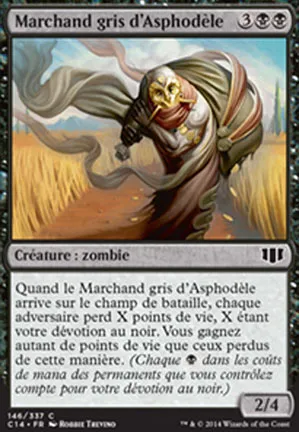 Marchand gris d'Asphodèle