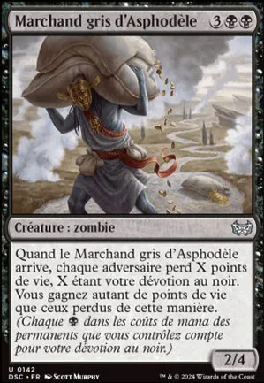 Marchand gris d'Asphodèle