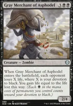 Marchand gris d'Asphodèle