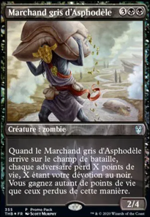 Marchand gris d'Asphodèle