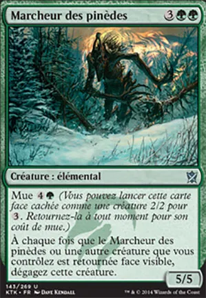 Marcheur des pinèdes
