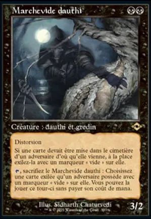 Marchevide dauthi