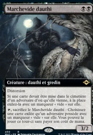 Marchevide dauthi