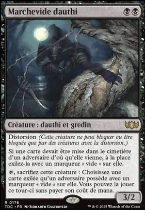 Marchevide dauthi