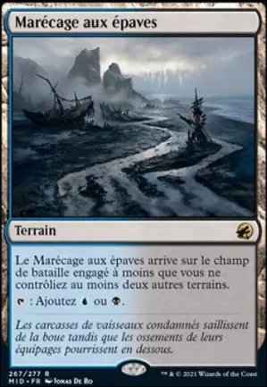 Marécage aux épaves