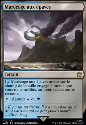 Marécage aux épaves