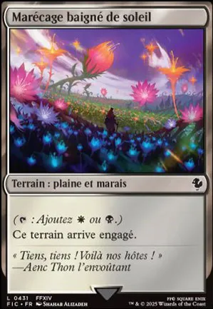 Marécage baigné de soleil