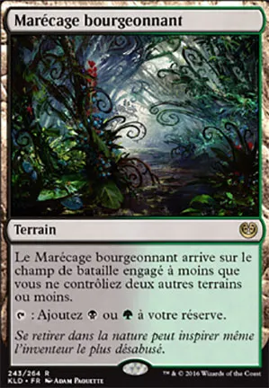 Marécage bourgeonnant