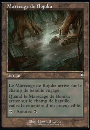 Marécage de Bojuka
