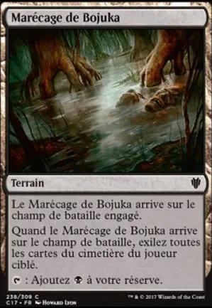 Marécage de Bojuka