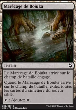 Marécage de Bojuka