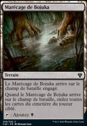 Marécage de Bojuka