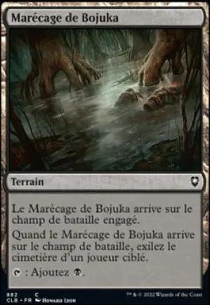 Marécage de Bojuka