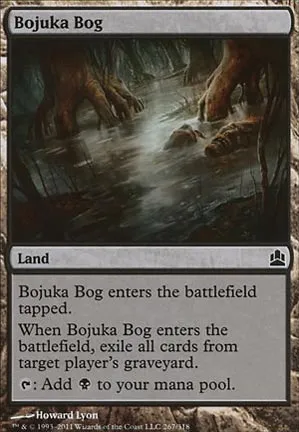 Marécage de Bojuka