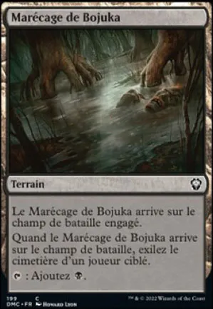 Marécage de Bojuka