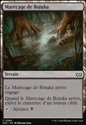 Marécage de Bojuka