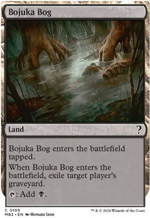 Marécage de Bojuka