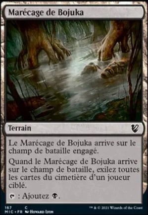 Marécage de Bojuka