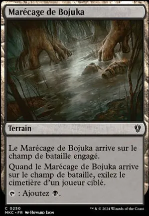 Marécage de Bojuka