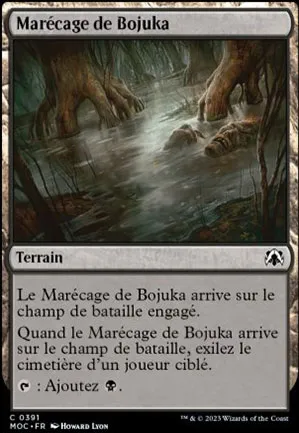 Marécage de Bojuka