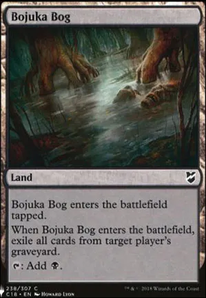 Marécage de Bojuka