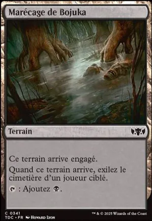 Marécage de Bojuka