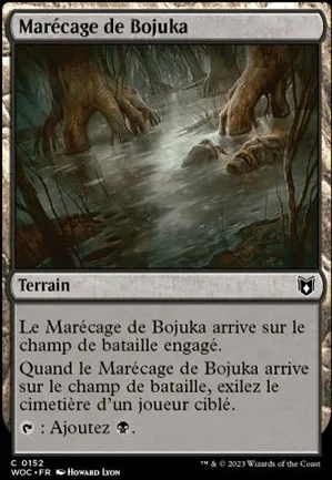 Marécage de Bojuka