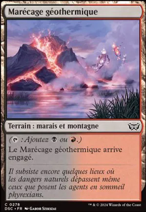 Marécage géothermique